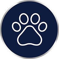 Vă puteți infecta cu dermatofitoză prin contactul cu animale infectate